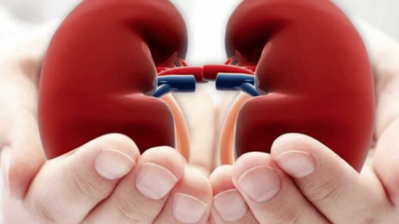 Foto - Böbrekleri çökertiyor: Meğer taş yapıyormuş! Sağlıklı diye bardak bardak içiyoruz: