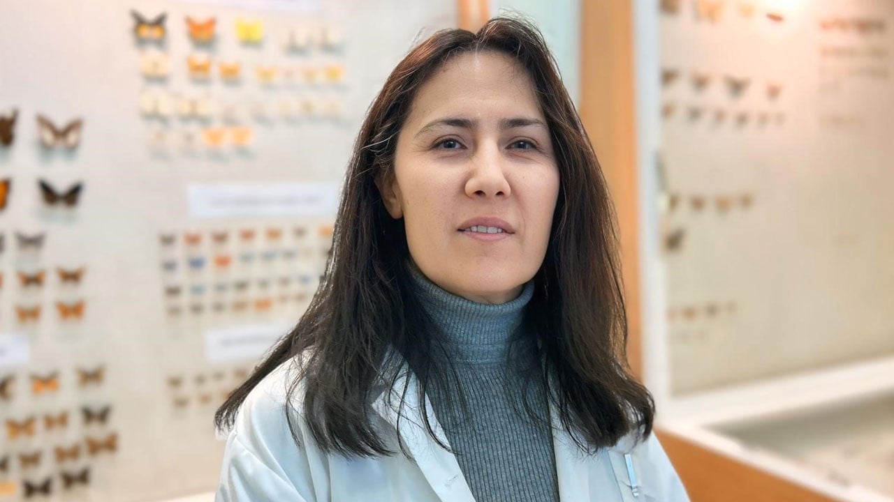 Foto - Böcek dünyası kayıt altına alınıyor! Van Gölü Havzası’nın gizli hazinesi