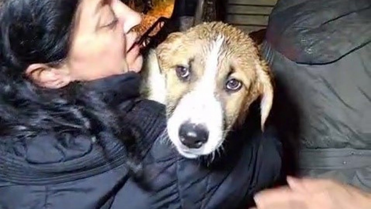 Foto - Boğulmaktan son anda kurtarıldılar