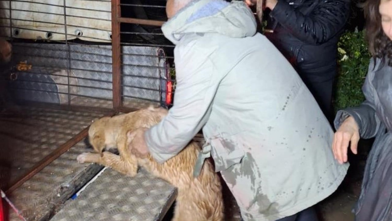 Boğulmaktan son anda kurtarıldılar