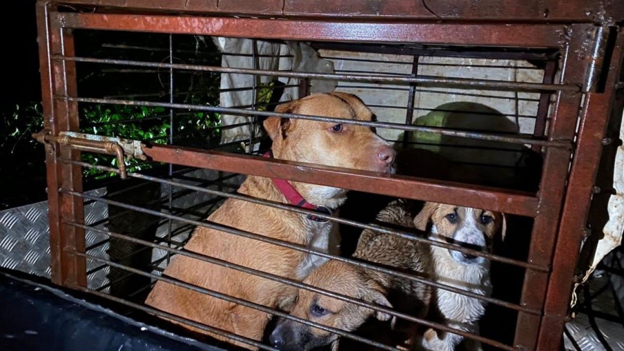 Foto - Boğulmaktan son anda kurtarıldılar