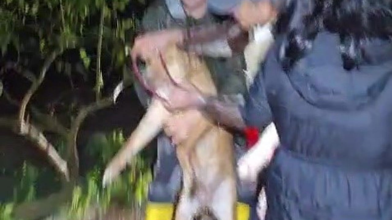 Foto - Boğulmaktan son anda kurtarıldılar