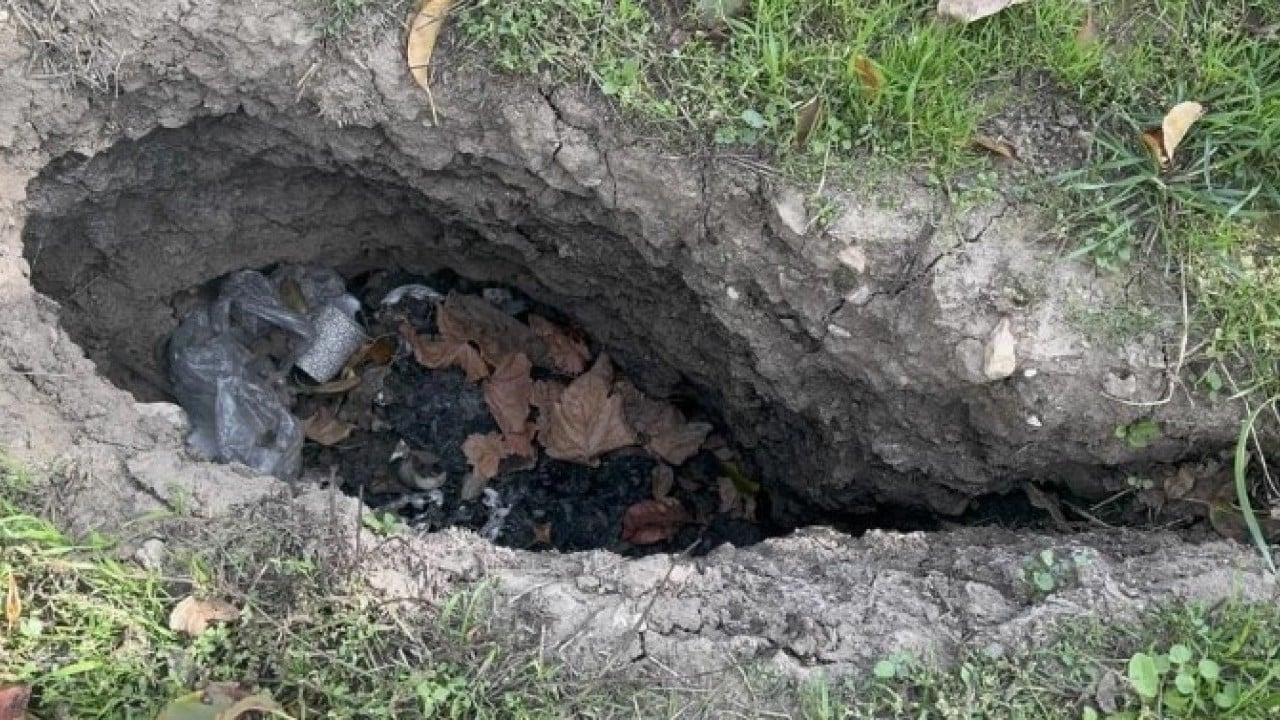 Bölge halkı korku içinde! Elma bahçesinde birden bire belirdi