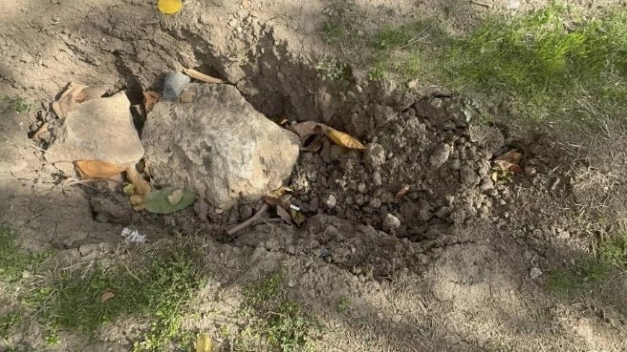 Foto - Bölge halkı korku içinde! Elma bahçesinde birden bire belirdi