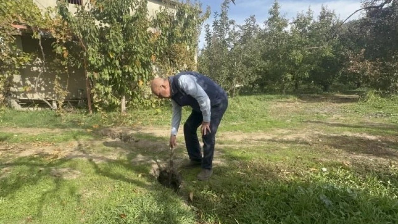 Foto - Bölge halkı korku içinde! Elma bahçesinde birden bire belirdi