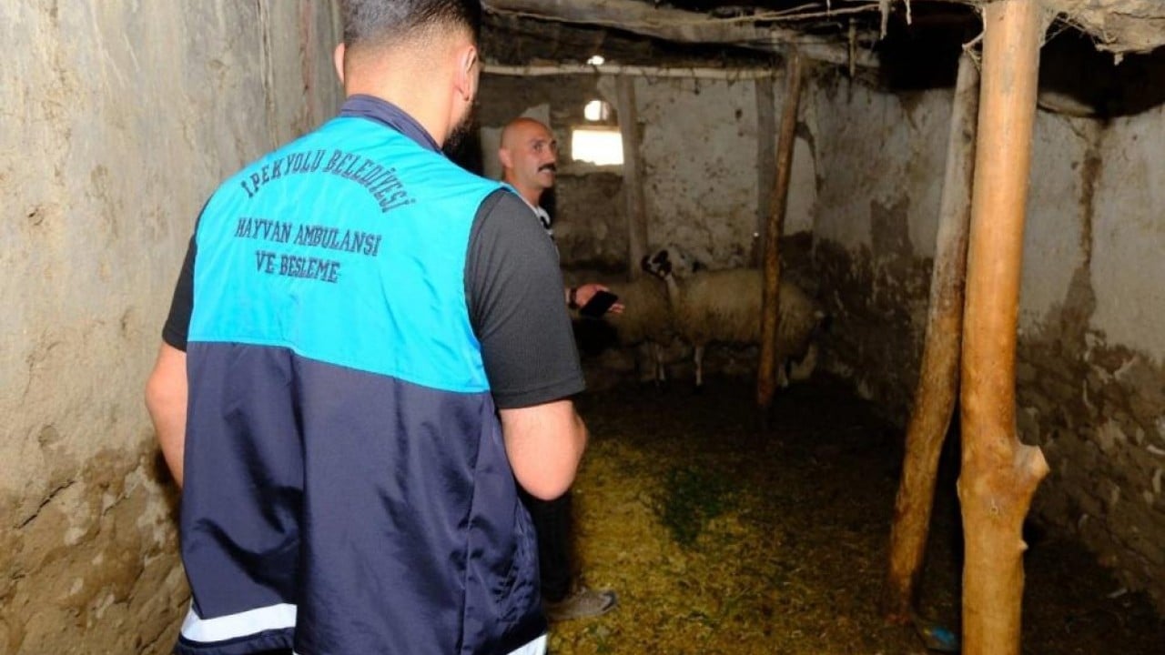 Foto - Bölge karantinaya alındı İlçeye giriş çıkışlar yasaklandı Kuduz alarmı