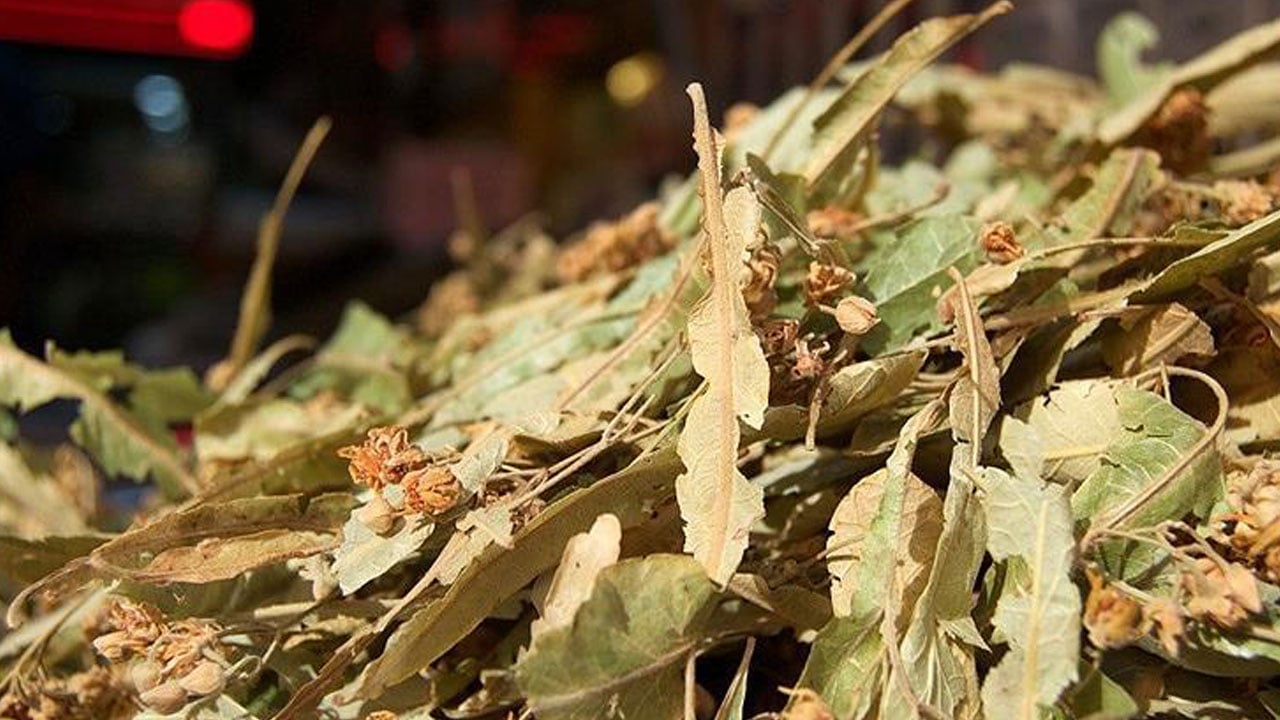 Foto - Bolluk dönemi yaşanıyor! Bir yıl önce gramla satılıyordu, şimdi kilo kilo alınıyor