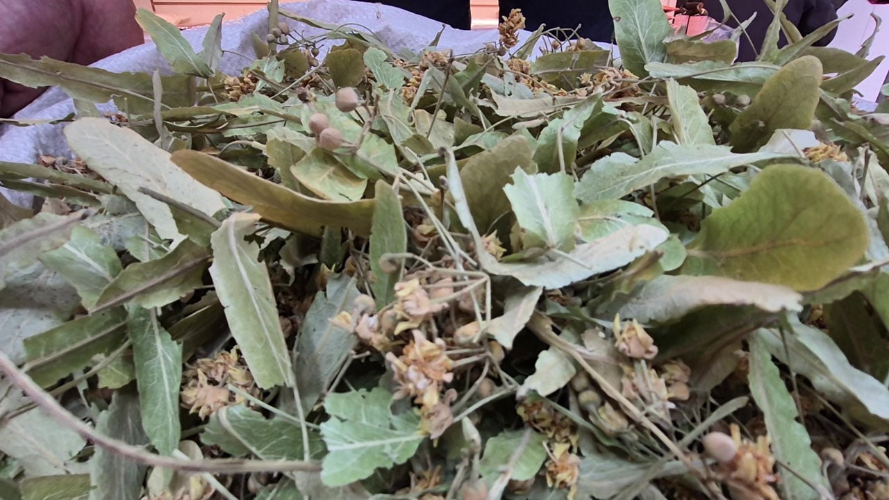 Bolluk dönemi yaşanıyor! Bir yıl önce gramla satılıyordu, şimdi kilo kilo alınıyor