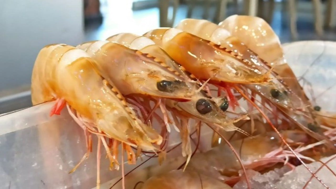 Foto - Bolluk fiyatları etkiledi! Kilosu 1500 TL'den 400 TL'ye düştü