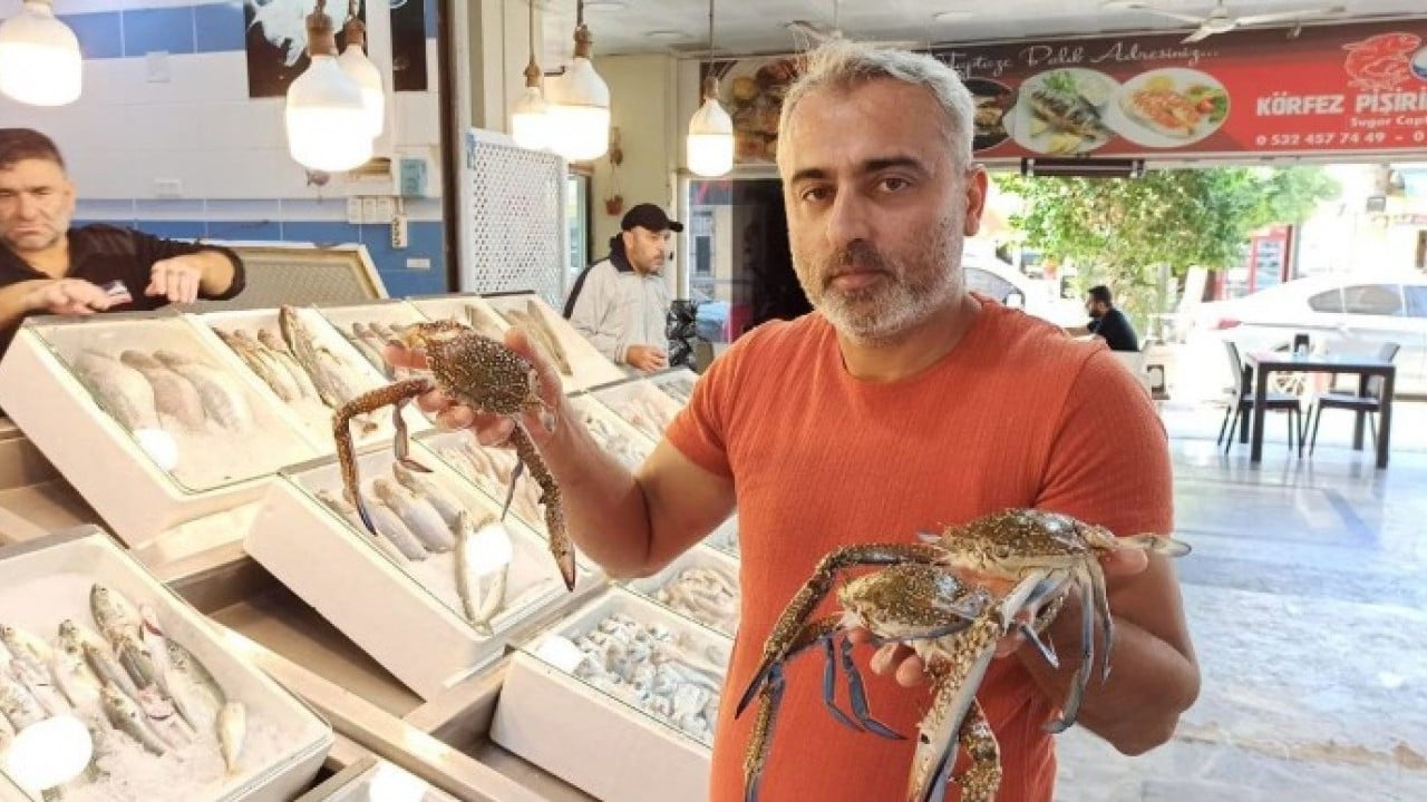 Foto - Bolluk fiyatları etkiledi! Kilosu 1500 TL'den 400 TL'ye düştü