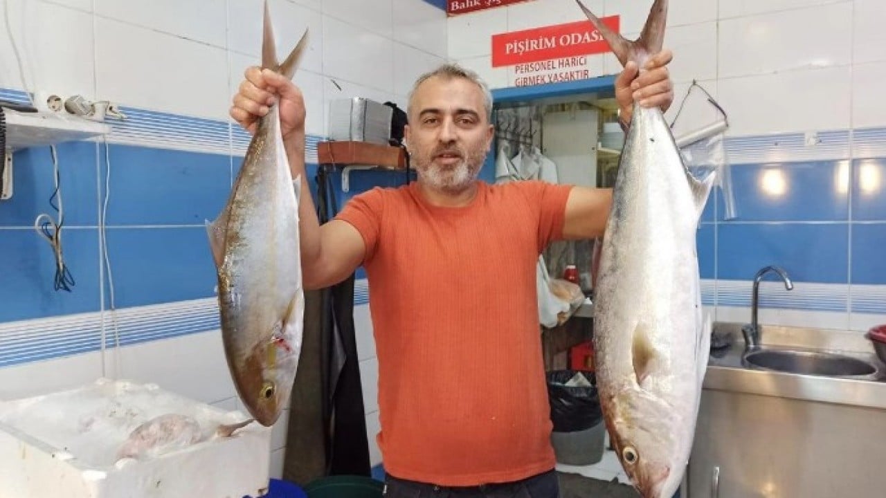 Foto - Bolluk fiyatları etkiledi! Kilosu 1500 TL'den 400 TL'ye düştü