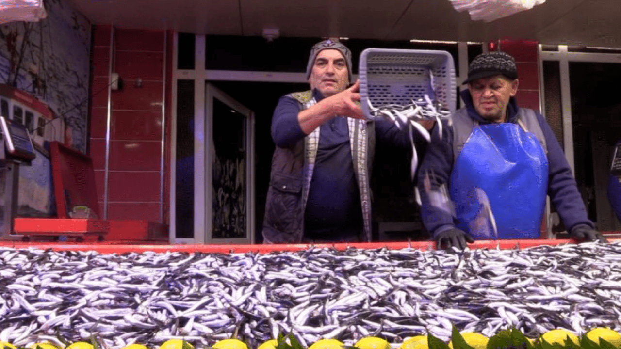 Bolu’da hamsinin fiyatı yüzleri güldürdü