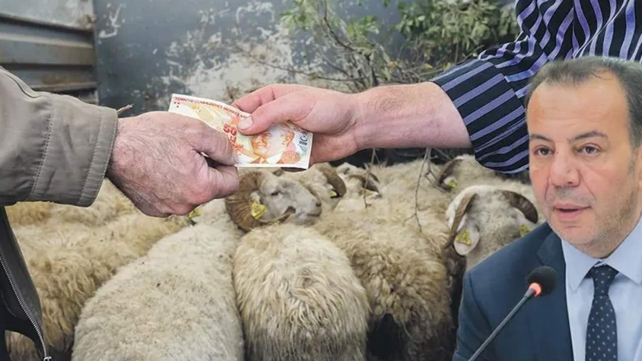 Foto - Bolu’yu uçkur düşkünü Tanju mu yönetiyor!.. Belediye bütçesi Özcan’ı aklamaya ayrıldı… Bakanlık göreve!