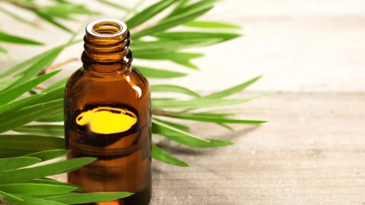 Foto - Boyacılara tonla para dökmeye son! Duvardaki rutubet ve küften kurtulmanın doğal yolu