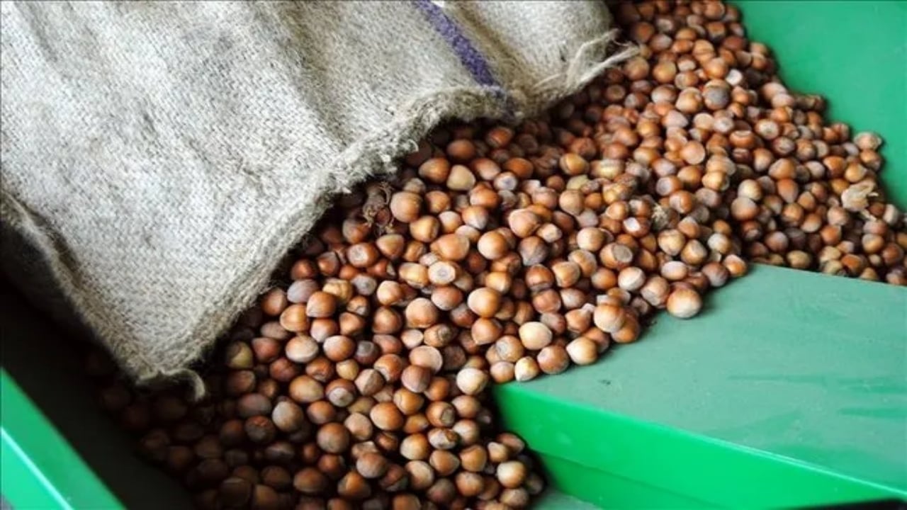 Foto - Boykot ediliyordu! Nutella’nın üreticisi Ferrero’nun Türkiye kararına tokat gibi cevap