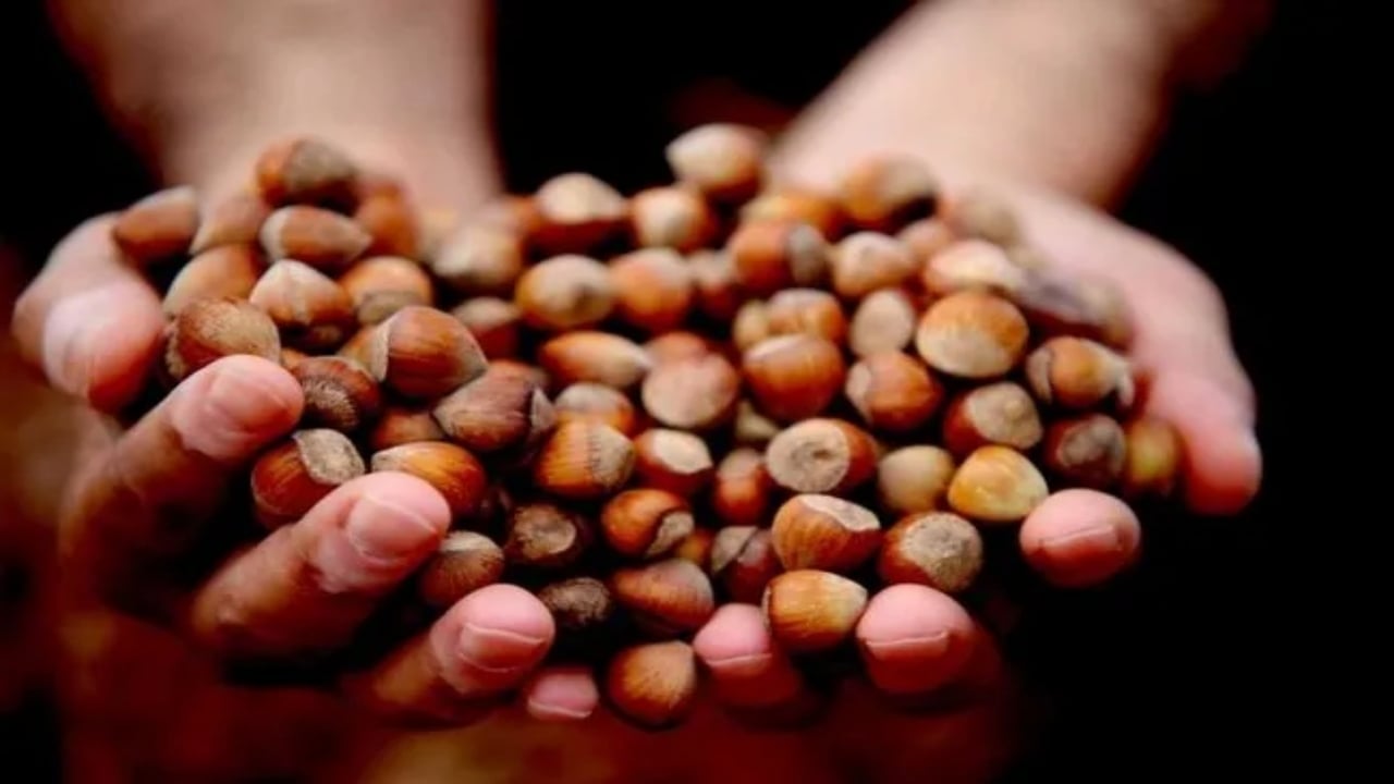 Foto - Boykot ediliyordu! Nutella’nın üreticisi Ferrero’nun Türkiye kararına tokat gibi cevap