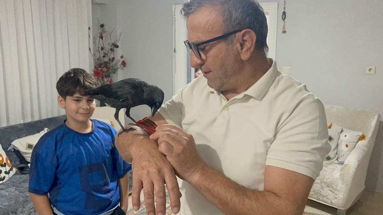 Foto - Böyle misafir görülmedi! Otomobile konan karga eve yerleşti