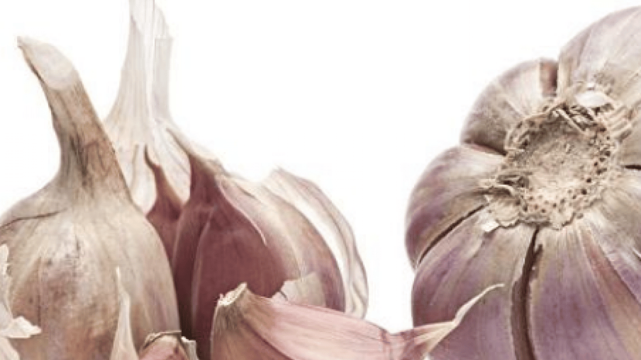 Foto - Ağızdaki sarımsak kokusuna son veren mutfakta birçok şey var! 