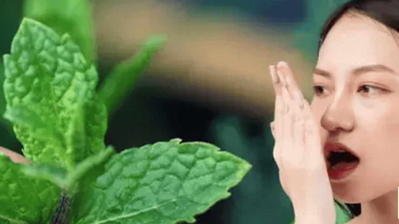 Foto - Ağızdaki sarımsak kokusuna son veren mutfakta birçok şey var! 