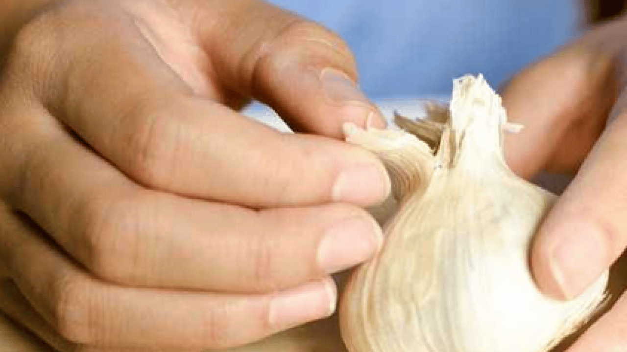 Ağızdaki sarımsak kokusuna son veren mutfakta birçok şey var! 