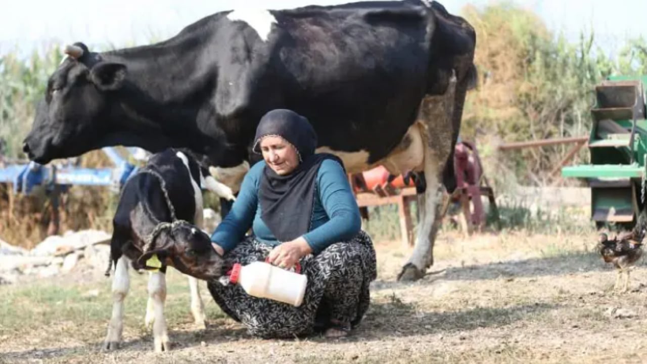 Foto - Böylesi yüz binde bir oluyor: Besici çift sevinçten havalara uçtu!