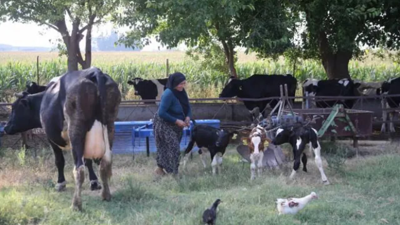 Foto - Böylesi yüz binde bir oluyor: Besici çift sevinçten havalara uçtu!