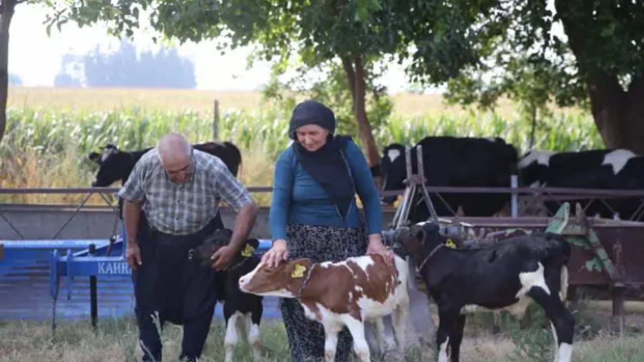 Foto - Böylesi yüz binde bir oluyor: Besici çift sevinçten havalara uçtu!