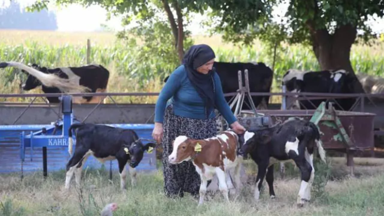 Foto - Böylesi yüz binde bir oluyor: Besici çift sevinçten havalara uçtu!