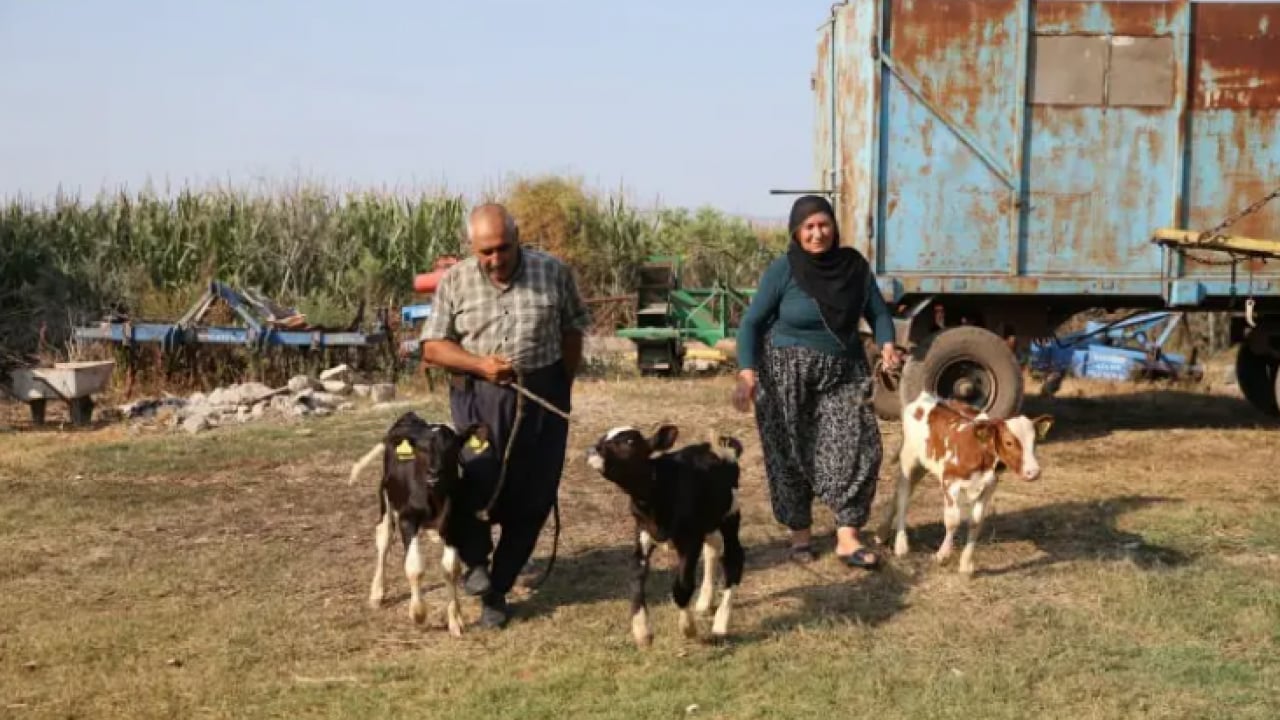 Böylesi yüz binde bir oluyor: Besici çift sevinçten havalara uçtu!