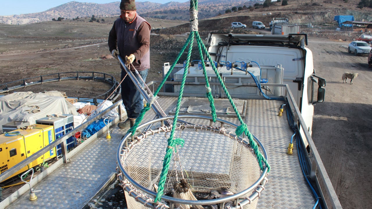 Foto - Bozkırdan dünyaya! Denizi olmayan şehirden balık ihracatı