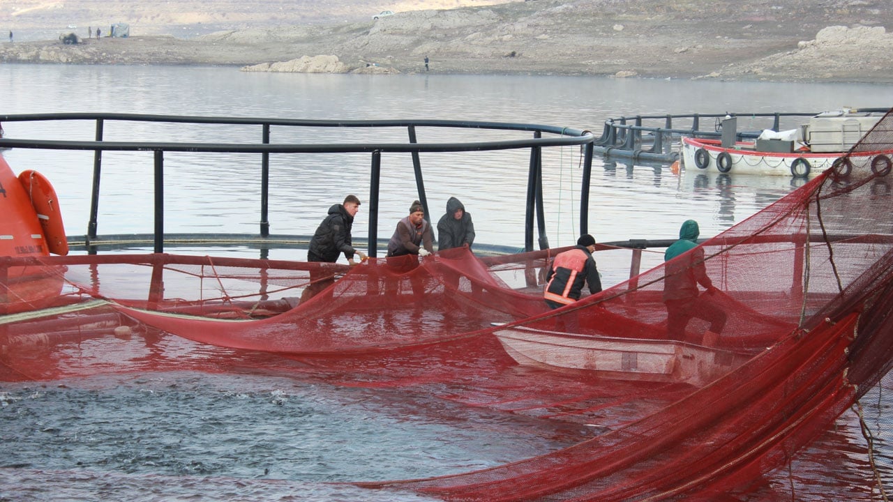 Foto - Bozkırdan dünyaya! Denizi olmayan şehirden balık ihracatı