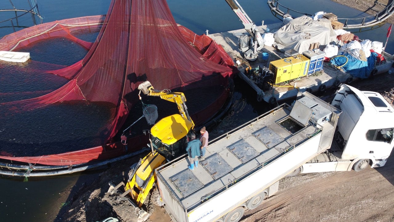 Foto - Bozkırdan dünyaya! Denizi olmayan şehirden balık ihracatı