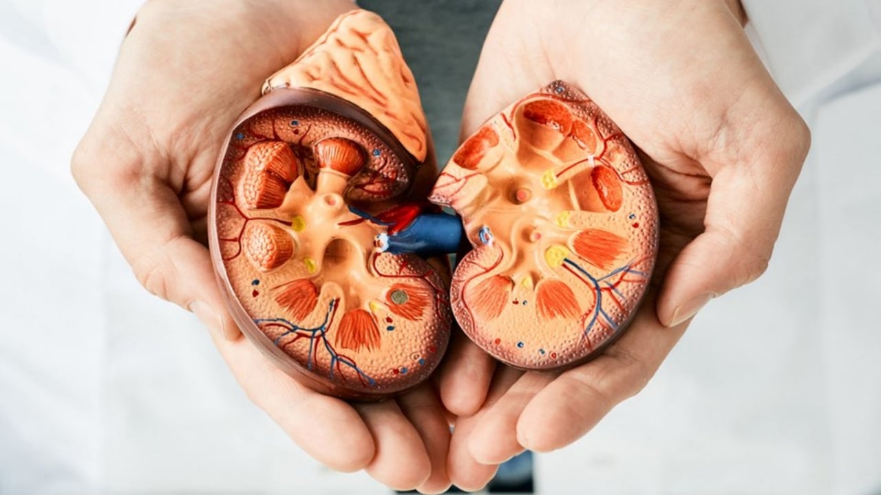 Bu 6 gıda böbrekleri adım adım iflasa sürüklüyor! İşte köşe bucak kaçılması gereken kara liste