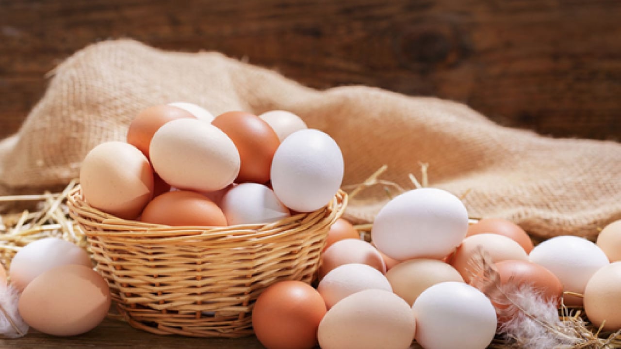 Foto - Bu araştırma çok konuşulacak... 15 yıl boyunca her gün 1 yumurta yerseniz ne olur?