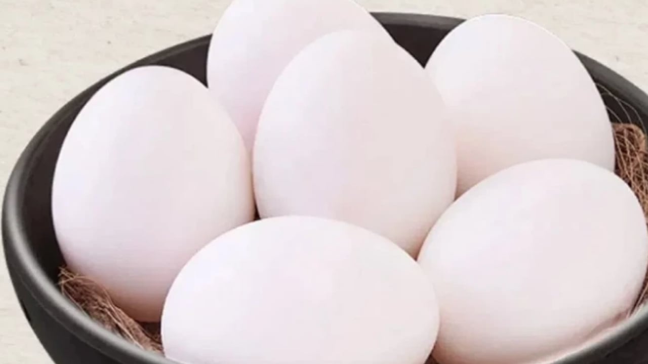 Foto - Bu araştırma çok konuşulacak... 15 yıl boyunca her gün 1 yumurta yerseniz ne olur?