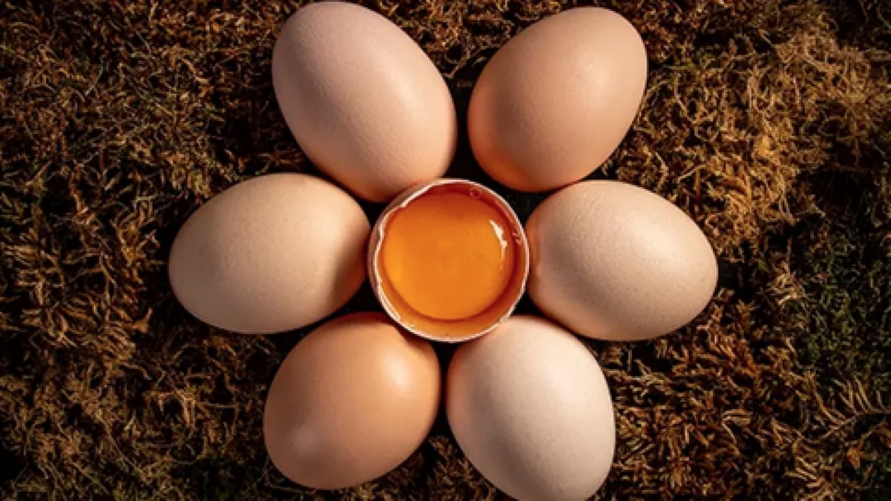 Foto - Bu araştırma çok konuşulacak... 15 yıl boyunca her gün 1 yumurta yerseniz ne olur?