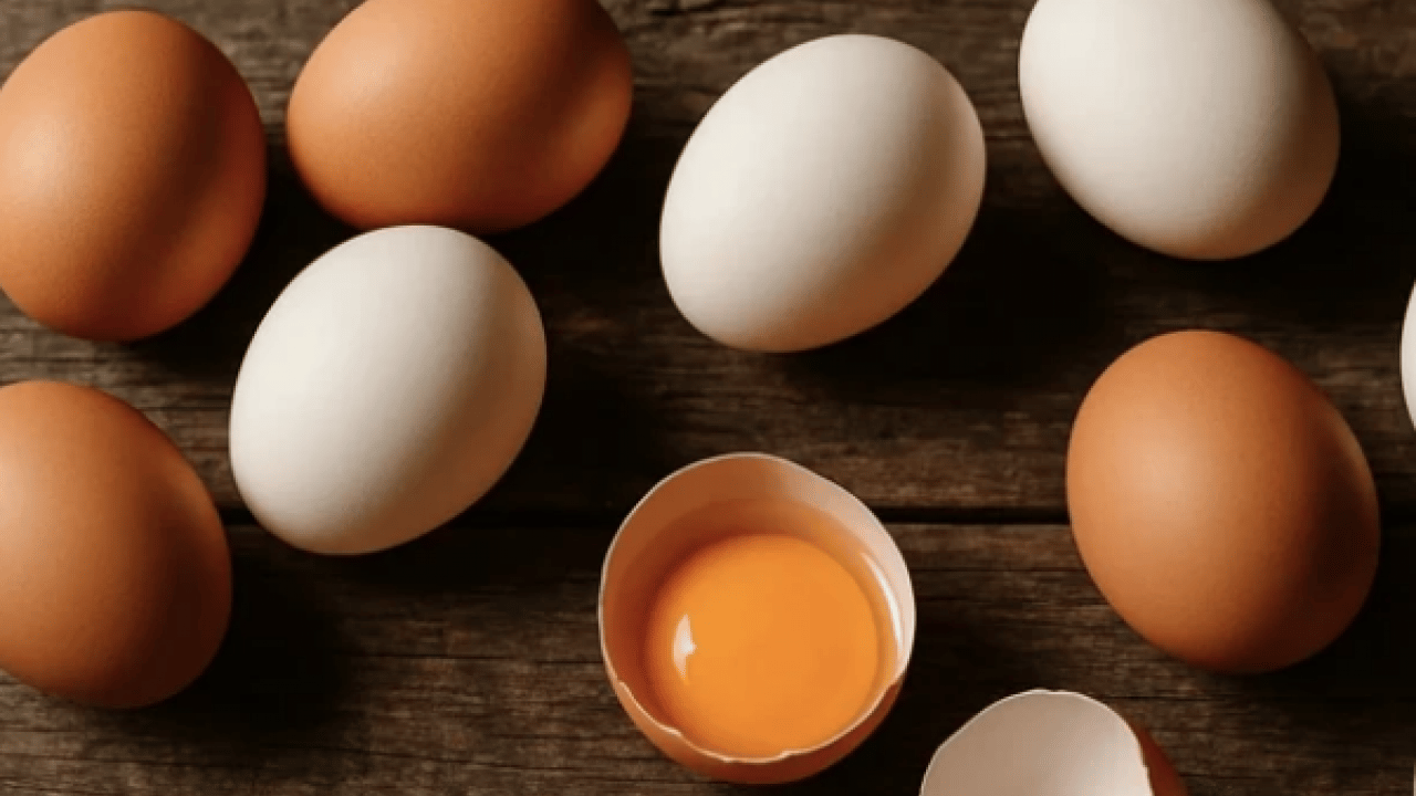 Bu araştırma çok konuşulacak... 15 yıl boyunca her gün 1 yumurta yerseniz ne olur?
