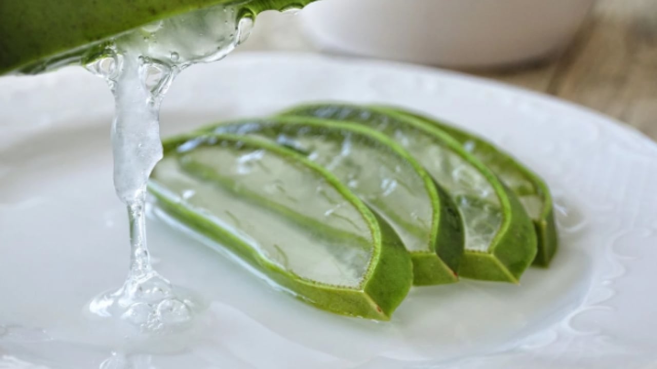 Foto - Bu bakım diğerlerinden farklı! Yıpranmış saçları anında canlandıran yöntem