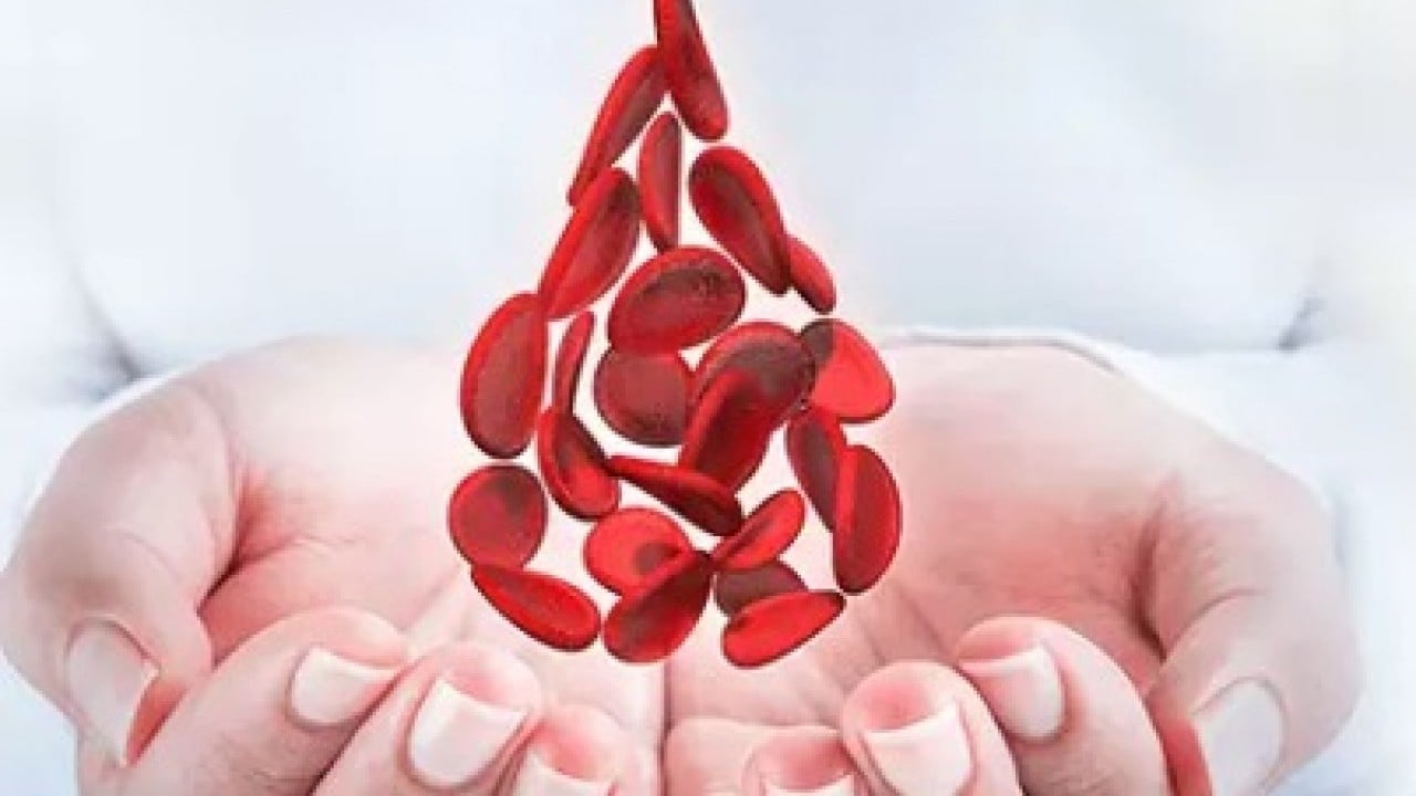 Foto - Bu belirtiler varsa kansızsınız: 7 belirtiyi uzman isim açıkladı