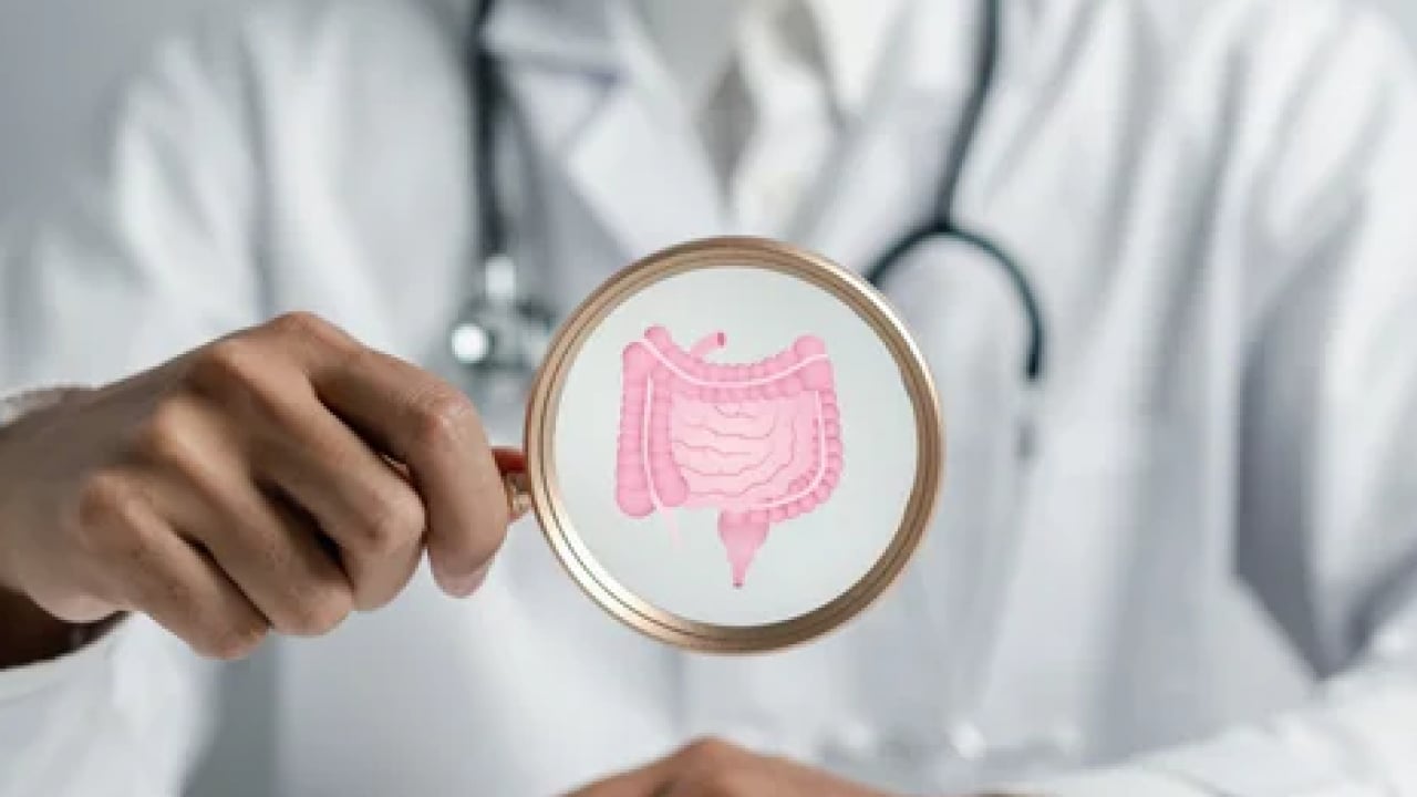 Foto - Bu bitki çayı bağırsakları motor gibi çalıştırıyor! Bağırsaklardaki sinsi tehlike için İhtiyaç duyulan çay