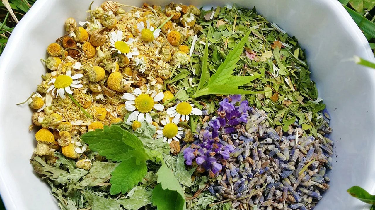 Foto - Bu çaylar vücudu sakinleştiriyor! Uykuya dalmakta zorlananlar dikkat