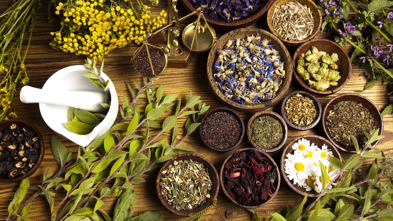 Foto - Bu çaylar vücudu sakinleştiriyor! Uykuya dalmakta zorlananlar dikkat