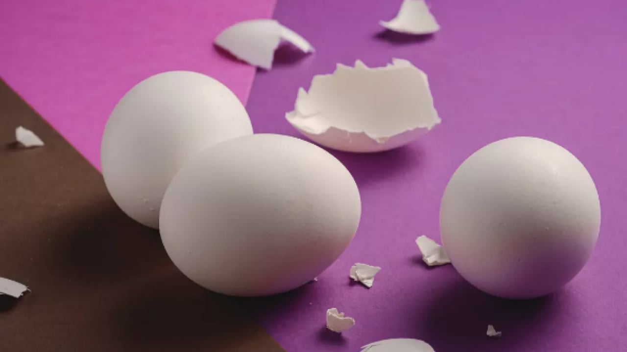 Foto - Bu detay çok konuşulacak! Ne tavuk derisi ne kemik suyu! İşte o yumurta zarı... 