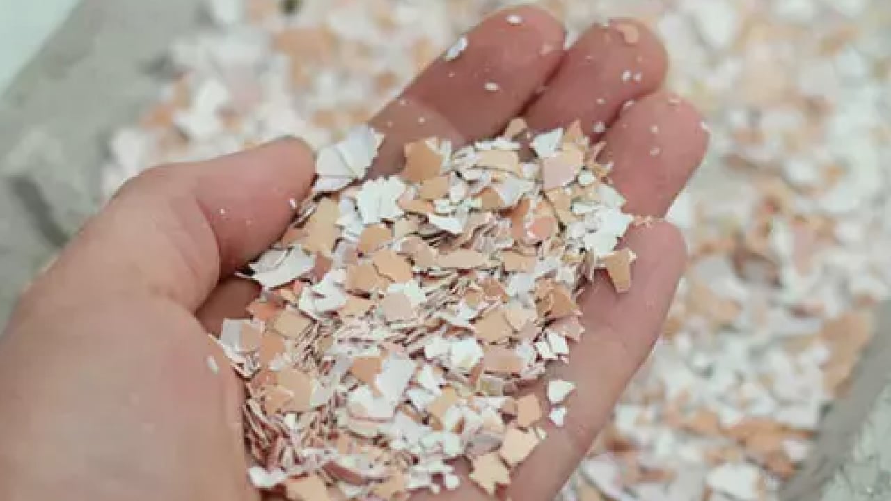 Foto - Bu detay çok konuşulacak! Ne tavuk derisi ne kemik suyu! İşte o yumurta zarı... 