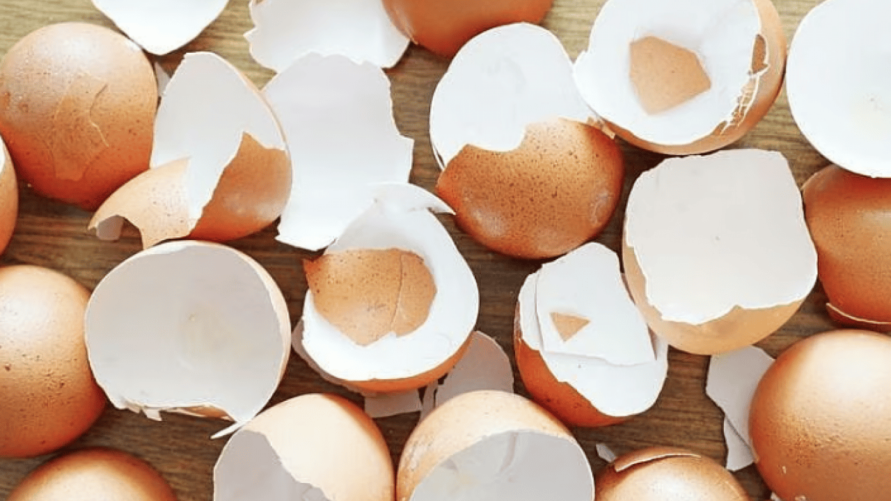 Foto - Bu detay çok konuşulacak! Ne tavuk derisi ne kemik suyu! İşte o yumurta zarı... 