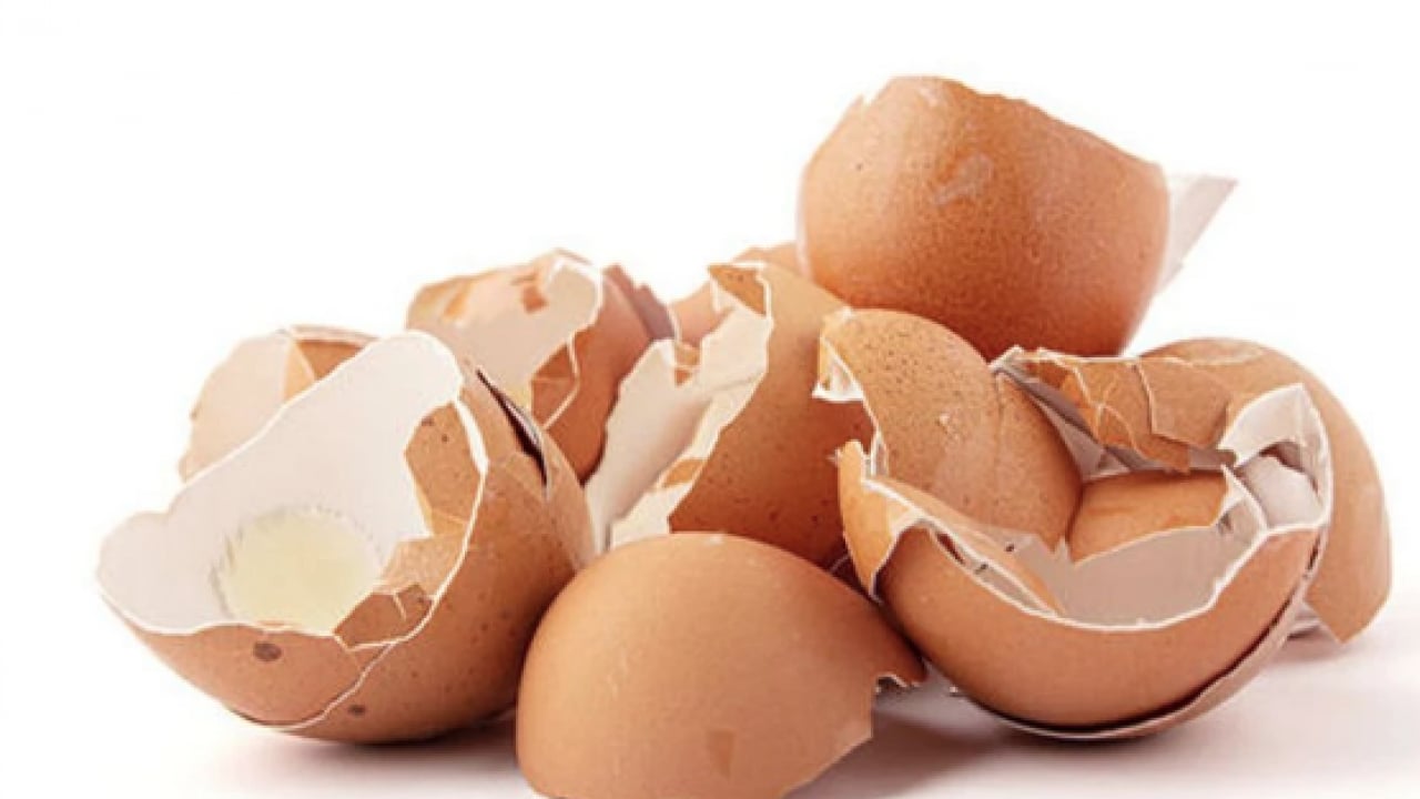 Foto - Bu detay çok konuşulacak! Ne tavuk derisi ne kemik suyu! İşte o yumurta zarı... 