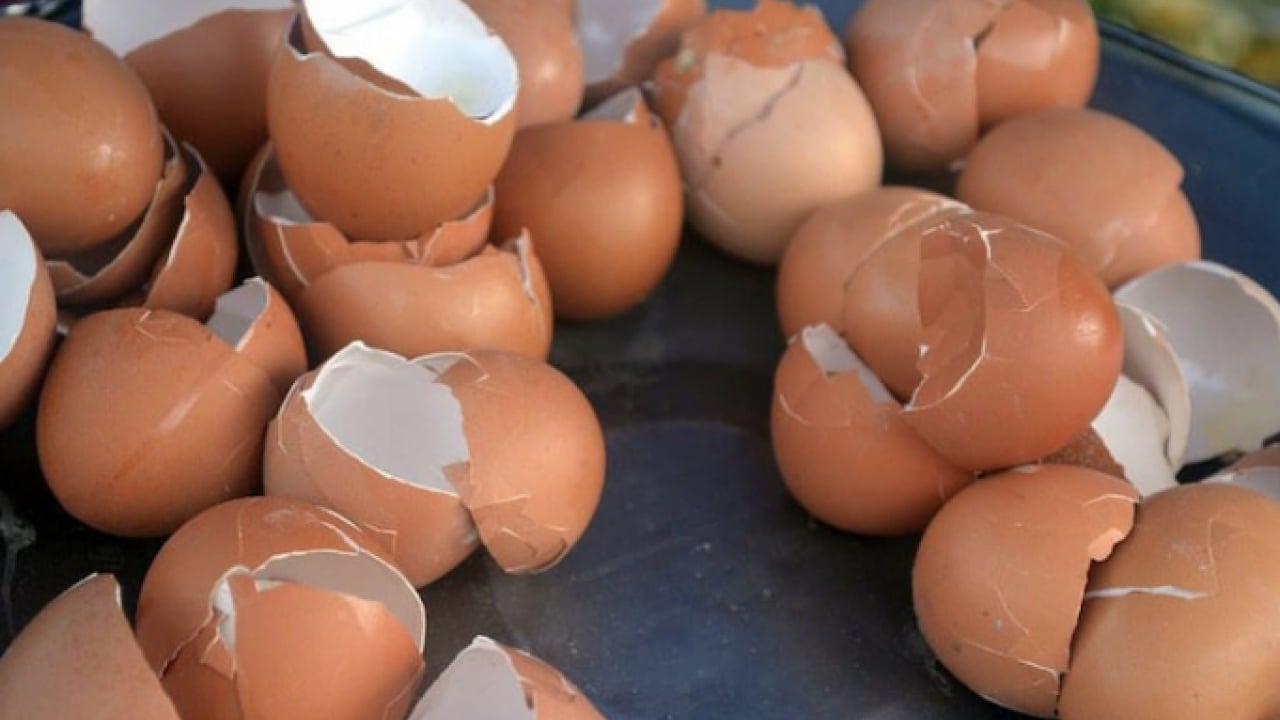 Foto - Bu detay çok konuşulacak! Ne tavuk derisi ne kemik suyu! İşte o yumurta zarı... 