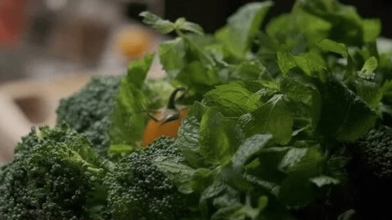 Foto - Bu detayı not edin! İşte yeşillikleri 3 hafta yemyeşil saklamanın sırrı!