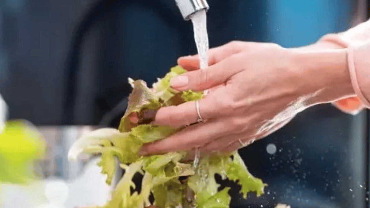 Foto - Bu detayı not edin! İşte yeşillikleri 3 hafta yemyeşil saklamanın sırrı!