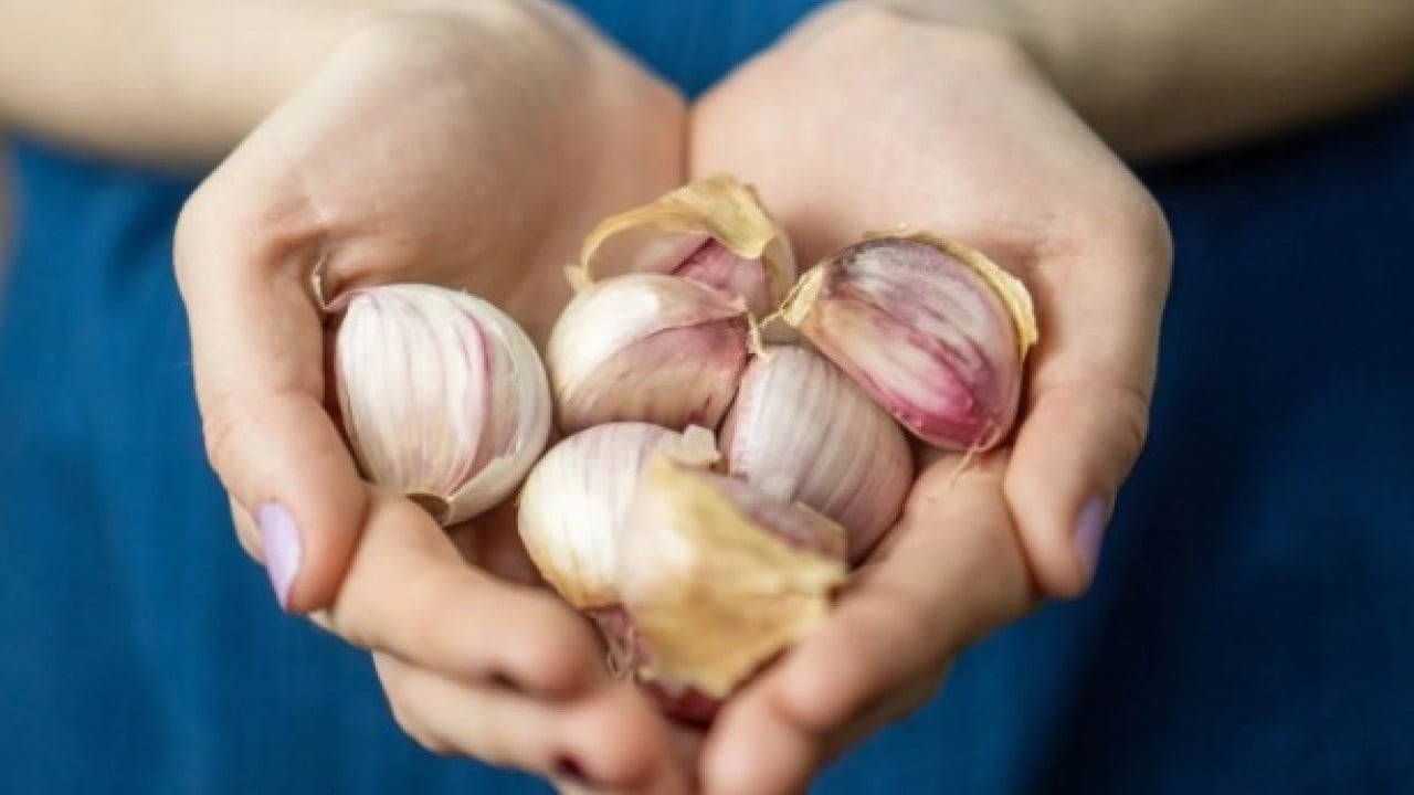 Foto - Bu doğal yöntem rahatlatacak! Balgam şikayetine kökten çözüm